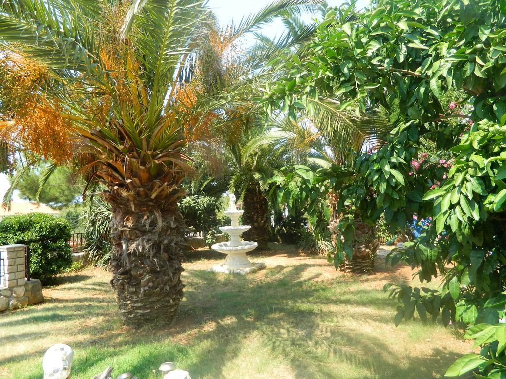 Villa Palma Medulin